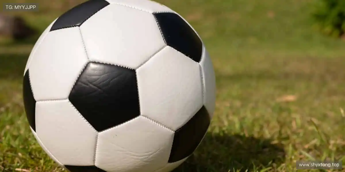 📸 赛场瞬间,定格成你专属的热血记忆!📚